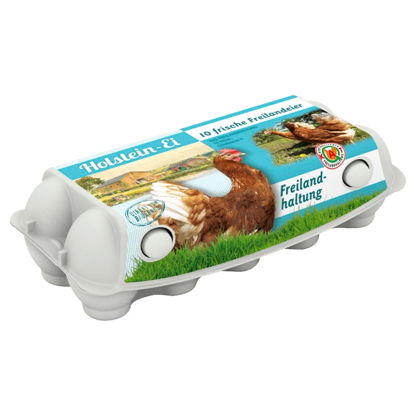 Holstein Eier Freilandhaltung 10 Stück